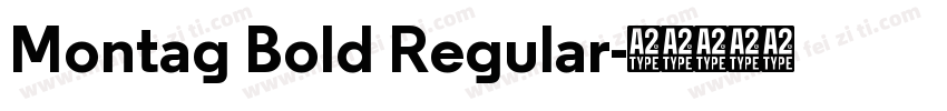 Montag Bold Regular字体转换